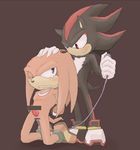  blush echidna gay hedgehog knuckles_the_echidna male mammal penis purple_eyes red_eyes sega sex sex_toy shadow_the_hedgehog smile sonic_(series) sonic_team t.rosshi unknown_artist 