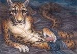  anthro bed bluari clouded_leopard feline humanoid_penis looking_at_viewer male mammal nude on_bed penis traditional_media_(artwork) 
