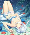  animal_ears bikini blush breasts collarbone dj_max flower hair_flower hair_ornament hibiscus keikei_(kitty_colors) legs long_legs looking_at_viewer lying medium_breasts on_back partially_submerged petals purple_eyes red_eyes revision short_hair silver_hair smile solo suee swimsuit thigh_gap underwear water white_bikini white_swimsuit 