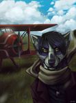  aircraft airplane anthro canine clothed clothing day detailed_background entsk fur grass hair looking_at_viewer male mammal purple_fur purple_hair purple_nose sky solo whiskers yellow_eyes 