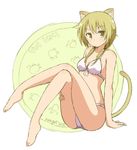  animal_ears bikini blonde_hair blush breasts cat_ears cat_tail character_name cleavage crossed_legs eyebrows_visible_through_hair ichii_yui long_hair looking_at_viewer low_twintails medium_breasts mel_(melty_pot) paw_print sitting solo swimsuit tail twintails white_bikini yellow_eyes yuyushiki 