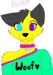 austin austinthewolff black_fur blue_eyes canine cute fur girly happy male mammal purple_eyes wolf yellow_fur 