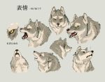  afd-yred black_nose canid canine canis fangs fur japanese_text mammal multicolored_fur open_mouth text two_tone_fur wolf yellow_eyes 