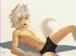  2017 animal_humanoid brown_eyes clothing grey_background hair humanoid kiske_7key male muscular muscular_male navel nipples signature simple_background solo spread_legs spreading underwear white_hair 