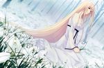  absurdly_long_hair absurdres blonde_hair breasts caucasus dress flower forest highres holding holding_flower long_hair looking_at_viewer nanatsuki_shion nature outdoors red_eyes sitting small_breasts snowdrop_(flower) solo sugina_miki tree very_long_hair white_dress 