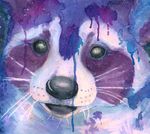  banrai invalid_color mammal paint_splatters painting raccoon traditional_media_(artwork) watercolor_(artwork) 