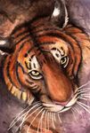  banrai feline fuzzy green_eyes invalid_color mammal painting tiger traditional_media_(artwork) watercolor_(artwork) 
