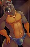  2017 anthro biped biting_lip black_background black_claws black_nose briefs brown_fur brown_nipples bulge canine claws clothed clothing digital_media_(artwork) dog eyebrows fcsimba front_view fur german_shepherd grey_fur grey_tail head_tuft hi_res looking_at_viewer male mammal multicolored_fur neck_tuft nipples pinup portrait pose riley-doge simple_background snout solo standing teeth three-quarter_portrait topless tuft two_tone_fur underwear yellow_eyes 