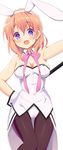  9law animal_ears blush breasts bunny_ears bunnysuit cleavage detached_collar detached_sleeves gochuumon_wa_usagi_desu_ka? hoto_cocoa leotard looking_at_viewer medium_breasts open_mouth orange_hair purple_eyes ribbon short_hair simple_background smile thigh_gap white_background 