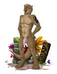  anthro balls brown_fur brown_nose flower fur green_eyes hair half-erect hand_on_hip humanoid_penis jewelry looking_to_side male mammal muscular mustelid necklace net nipples otter pawpads penis plant presenting rock short_hair simple_background smile solo standing tagme tattoo tribal_tattoo truegrave9 whiskers white_background 