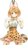  animal_ears belt blush elbow_gloves eyebrows_visible_through_hair gloves kemono_friends looking_at_viewer orange_hair orange_legwear orange_skirt serval_(kemono_friends) serval_ears serval_tail short_hair skirt smile solo tail tatsu_shinomu thighhighs yellow_eyes 