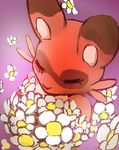  8chan bouquet eye_markings eyes_closed faith_(8chan) female flower fur mammal markings plant raccoon red_fur simple_background solo 