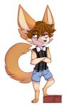  anthro canine chibi clothed clothing fur hair hibarikatsuru looking_at_viewer male mammal solo standing 