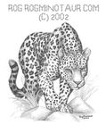  2002 feline feral leopard mammal rog_minotaur solo spots stalking 