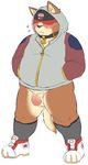  anthro balls canine clothed clothing collar flaccid footwear hoodie humanoid_penis legwear male mammal overweight penis sheeporwolf shoes socks solo standing uncut 