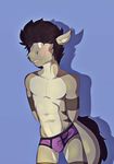  2017 abs anthro balls biceps blush bulge butt clothed clothing colored digital_drawing_(artwork) digital_media_(artwork) dragon erection fur girly hair hi_res legwear lizard looking_at_viewer male muscular muscular_male nude panties penis reptile scalie simple_background smile solo standing tiberius tiberius_creations tongue underwear 