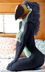  avian bird breasts edit feathers photo_manipulation photomorph rafael rio toucan 