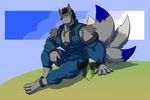  anthro avias_(artist) canine clothed clothing fur hair jewelry male mammal muscular necklace sitting smile solo 