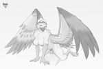  2017 5_fingers anthro avian beak bird breasts chest_tuft cowgirl_position digital_media_(artwork) duo erection eyewear faceless_male feathered_wings feathers female female_on_top goggles hand_on_chest human kwaza_(ozawk) looking_back male male/female mammal monochrome navel nawka nipples nude on_top one_eye_closed penetration penis pubes pussy_juice sex signature simple_background sitting solo_focus spread_legs spreading tail_feathers talons tuft vaginal vaginal_penetration wings 