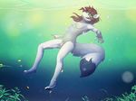  anthro breasts canine dyaniful female fur hair mammal nipples nude pussy solo underwater water 