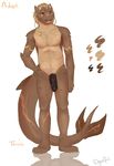  anthro dyaniful fish flaccid hybrid looking_at_viewer male marine model_sheet nude open_mouth penis shark smile solo standing 