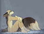  anthro canine eyes_closed fennec fox fur hair male mammal nude osiris_henschel redpixie shower sitting solo wet 