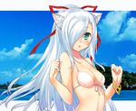  47agdragon :o animal_ears arched_back beach bikini bracelet breasts cat_ears commentary_request day green_eyes hair_over_one_eye hands_up jewelry long_hair looking_at_viewer medium_breasts open_mouth original outdoors photo_background ponytail sidelocks sketch solo swimsuit upper_body very_long_hair white_bikini white_bikini_top white_hair 