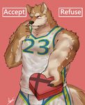  anthro canine clothed clothing dingding_(artist) male mammal muscular nipple_bulge shirt solo standing sweat wet_shirt 