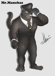  anthro clothed clothing dingding_(artist) feline hat looking_at_viewer male mammal muscular panther smile solo standing 