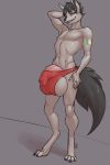  anthro balls barely_contained big_balls big_penis bulge canid canine canis clothing huge_balls humanoid_penis ldr looking_at_viewer male mammal penis penis_outline smile solo standing underwear wolf 