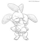  minun nintendo plusle pokemon raukue 