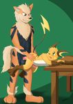  arcanine nintendo pokemon raichu yamanto 