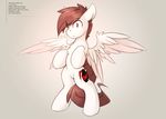  brown_hair cutie_mark equine fan_character feathered_wings feathers featureless_crotch hair hooves male mammal my_little_pony pegasus queenbloodysky red_eyes simple_background solo standing white_feahers wings 