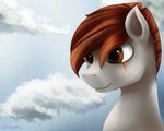  brown_eyes brown_hair equine fan_character feral hair l1nkoln mammal my_little_pony scar smile solo 