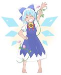  ^_^ akagashi_hagane barefoot blue_bow blue_dress blue_hair bow cirno closed_eyes convolvulus dress flower full_body grin hair_bow hand_on_hip head_tilt hidden_star_in_four_seasons highres ice ice_wings morning_glory plant short_hair short_sleeves smile solo standing sunflower tan tanned_cirno teeth touhou vines waving wings 