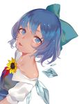  blue_dress blue_eyes blue_hair bow cirno collarbone dress flower from_above hair_bow hidden_star_in_four_seasons hillly_(maiwetea) ice ice_wings looking_at_viewer looking_up off_shoulder perspective shiny shiny_skin short_hair simple_background solo sweat tan tanned_cirno tongue tongue_out touhou upper_body wet wet_hair white_background wings 