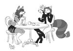  akira beverage boo3 canine cat conjoined dog feline female fudge husky mammal marshmallow multi_head multifur red_panda tea 