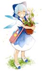  ^_^ azuma_aya bandaid bandaid_on_face blue_bow blue_dress blue_footwear blue_hair blush bow carrying cirno closed_eyes dress facing_viewer flower flower_pot full_body grass grin hair_between_eyes hair_bow hidden_star_in_four_seasons ice ice_wings morning_glory object_hug pink_flower puffy_short_sleeves puffy_sleeves shoes short_sleeves signature smile solo standing sunflower tan tanned_cirno touhou white_background wings yellow_flower 