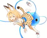  :o animal_ears ankle_boots boots bow bowtie cerulean_(kemono_friends) clenched_hand coupon_(skyth) elbow_gloves eyebrows_visible_through_hair fang footwear_removed full_body gloves hair_between_eyes kemono_friends leg_lift looking_at_viewer monster one-eyed open_mouth orange_eyes orange_hair red_ribbon ribbon serval_(kemono_friends) serval_ears serval_print serval_tail shirt shoe_removed shoe_ribbon shoes short_hair simple_background single_shoe skirt sleeveless sleeveless_shirt striped_tail tail tareme tentacles thighhighs tongue white_background white_footwear white_shirt zettai_ryouiki 