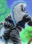  2016 anthro armlet balls black_fur black_tail blue_eyes blue_mane blue_sky butt cigar detailed_background diaszoom digital_media_(artwork) dutch_angle feline fur harness hybrid liger lion looking_at_viewer looking_back low-angle_view male mammal mane mostly_nude multicolored_fur multicolored_mane multicolored_tail outside pink_nose pinup portrait pose rear_view sky smile smoke smoking snapcat solo standing striped_fur striped_tail stripes three-quarter_portrait tiger tree two_tone_fur two_tone_mane two_tone_tail watermark whiskers white_balls white_fur white_mane white_stripes white_tail 