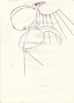 big_breasts breasts female huge_breasts looking_at_viewer mythicswords nude sketch wings 