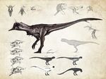  3_toes armor carnotaurus claws dinosaur glowing hi_res horn invalid_tag scales study teeth the_isle theropod toes vein 