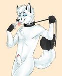  5_fingers anthro balls blue_eyes canine collar fox fur hair holding_leash holding_object knot leash looking_at_viewer male mammal navel nude paciulo presenting simple_background solo tongue tongue_out white_fur 