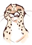  2019 ambiguous_gender annoyed cheetah feline green_eyes mammal nduli reaction_image simple_background snarling solo white_background 