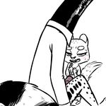  2017 adam_(inkyfrog) anthro blush clothed clothing disney duo erection fan_character inkyfrog linsang male male/male mammal open_mouth open_smile penis restricted_palette rodent sitting smile squirrel sweat sweatdrop viverrid zootopia 