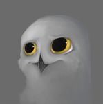  :| ambiguous_gender anthro avian beak bird cheek_tuft digital_media_(artwork) dilated_pupils distraught feather_tuft feathers front_view grey_background grey_feathers headshot_portrait nose_tuft nyar owl portrait simple_background snowy_owl solo tuft wide_eyed yellow_eyes 