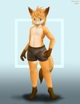  2017 anthro bulge canine clothing digitigrade fox fur humanesque male mammal platrev shorts simple_background standing 