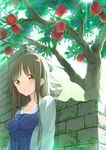  apple apple_tree bad_id bad_pixiv_id bangs blouse blue_blouse blush breasts brown_eyes brown_hair cardigan cleavage collarbone dappled_sunlight day eyebrows_visible_through_hair food fruit highres light_rays long_hair looking_at_viewer maigoyaki medium_breasts open_cardigan open_clothes original outdoors parted_lips polka_dot polka_dot_blouse solo sunbeam sunlight tareme tree upper_body wall 