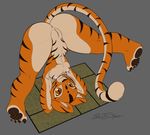  2016 2017 anus cum4mekurogane feline kung_fu_panda kurosilverfang looking_at_viewer mammal master_tigress nude presenting pussy 
