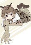  animal_ears black_hair blush boots bow bowtie brown_eyes cat_ears cat_tail gloves grey_hair kemono_friends marbled_cat_(kemono_friends) momosuke_(ishakry) multicolored_hair pantyhose simple_background solo tail teeth two-tone_hair 